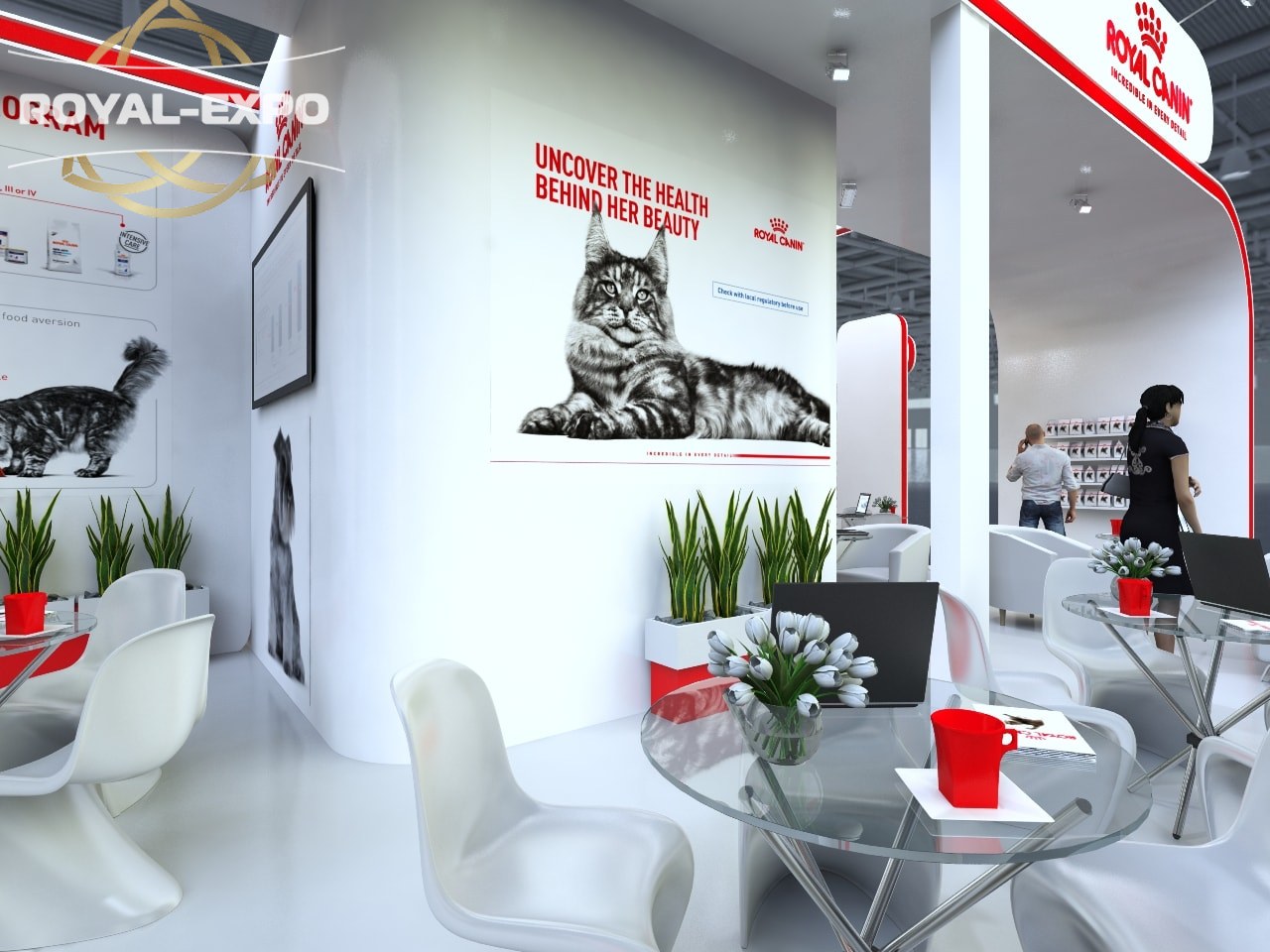 Дизайн проект - Royal Canin 3