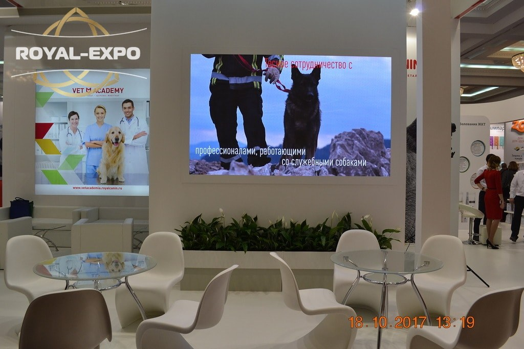 Royal Canin 11