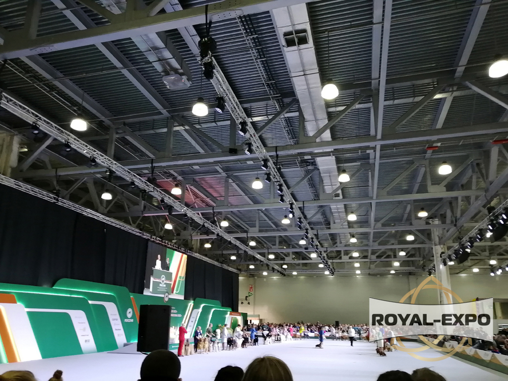 «Россия. Кубок РКФ 2020-2021» и «Россия. Кубок РКФ & Кубок Москвы 2022» 11