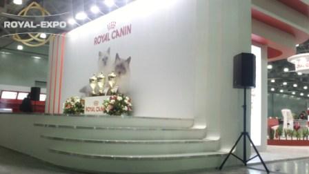 Royal Canin 2