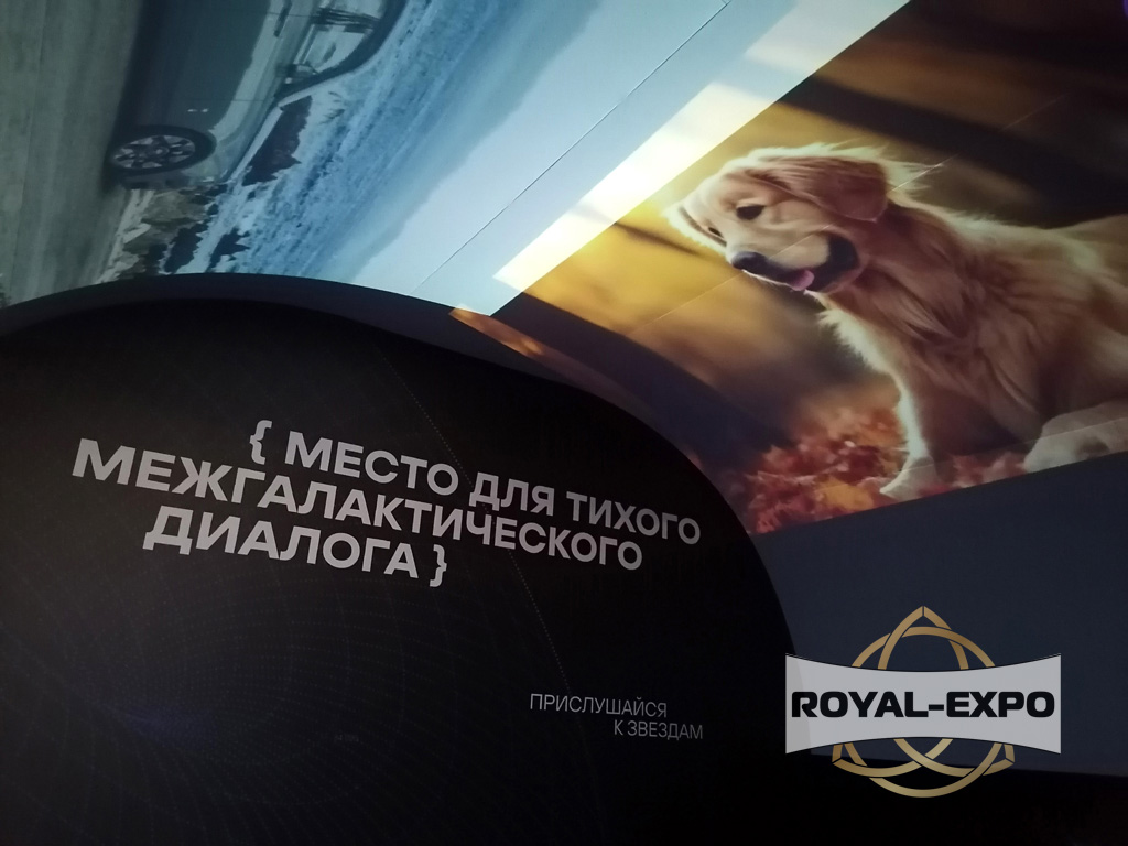 Киберфестиваль «Positive Hack Days 2», 2024 8